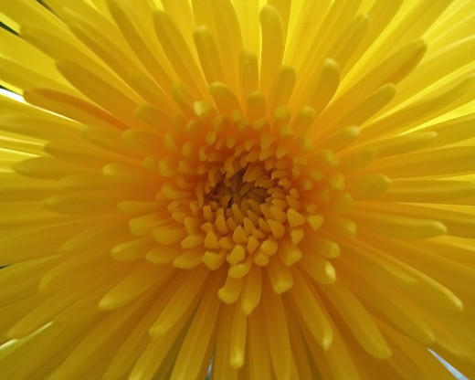 424142 (a): :1280x1024